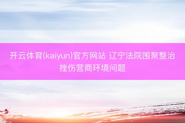 开云体育(kaiyun)官方网站 辽宁法院围聚整治挫伤营商环境问题