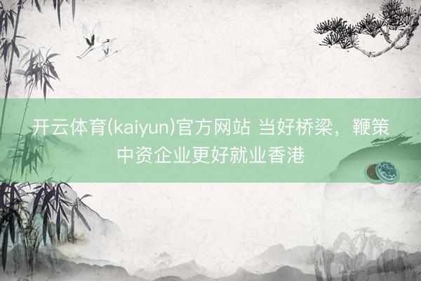 开云体育(kaiyun)官方网站 当好桥梁，鞭策中资企业更好就业香港
