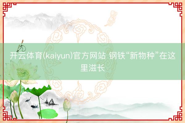 开云体育(kaiyun)官方网站 钢铁“新物种”在这里滋长