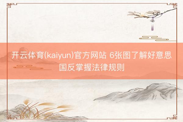 开云体育(kaiyun)官方网站 6张图了解好意思国反掌握法律规则