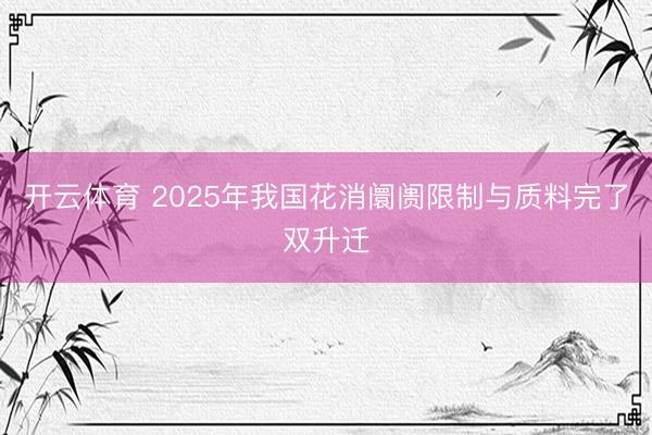 开云体育 2025年我国花消阛阓限制与质料完了双升迁