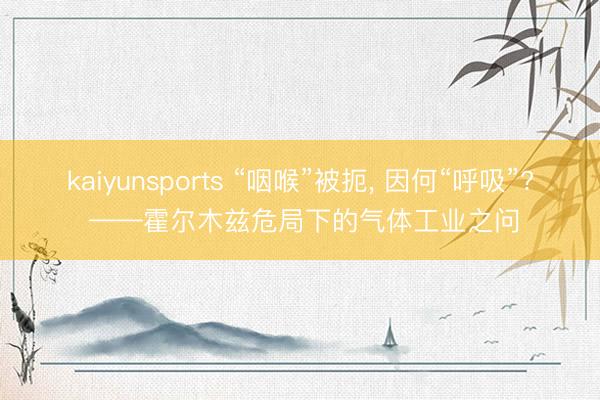 kaiyunsports “咽喉”被扼, 因何“呼吸”? ——霍尔木兹危局下的气体工业之问