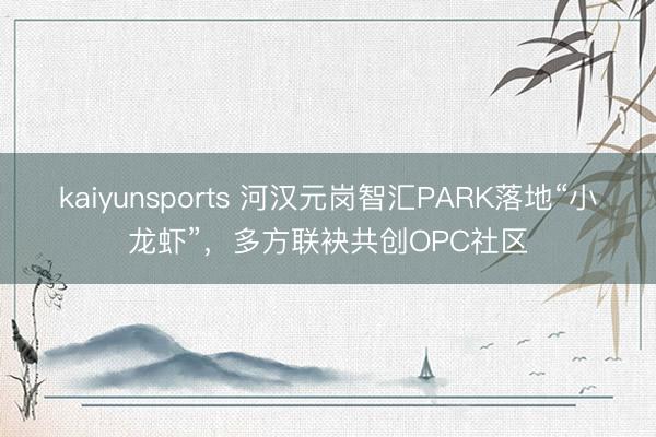 kaiyunsports 河汉元岗智汇PARK落地“小龙虾”,多方联袂共创OPC社区
