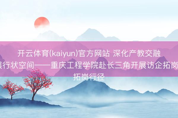 开云体育(kaiyun)官方网站 深化产教交融 拓展行状空间——重庆工程学院赴长三角开展访企拓岗行径