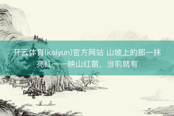 开云体育(kaiyun)官方网站 山坡上的那一抹亮红——映山红苗，当前就有