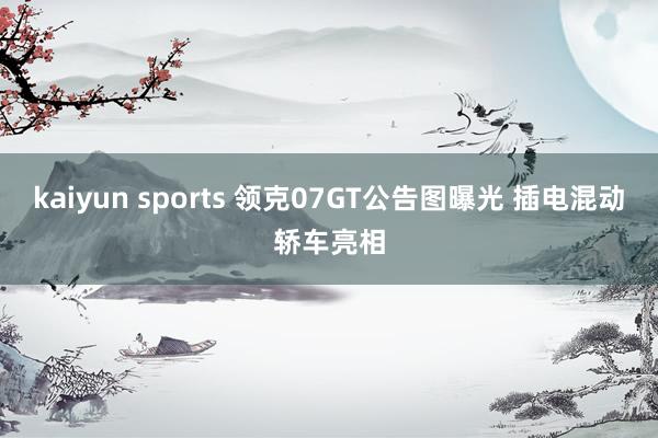 kaiyun sports 领克07GT公告图曝光 插电混动轿车亮相