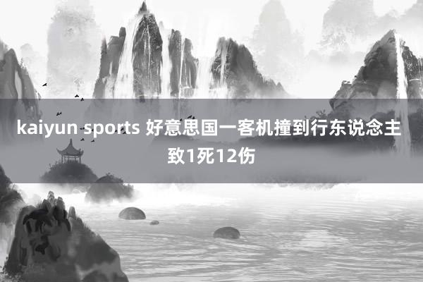 kaiyun sports 好意思国一客机撞到行东说念主 致1死12伤