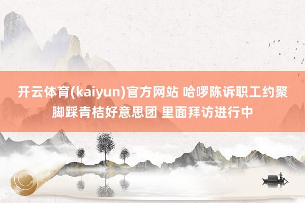 开云体育(kaiyun)官方网站 哈啰陈诉职工约聚脚踩青桔好意思团 里面拜访进行中