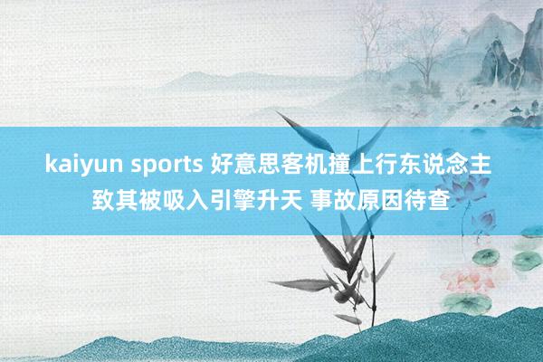 kaiyun sports 好意思客机撞上行东说念主 致其被吸入引擎升天 事故原因待查