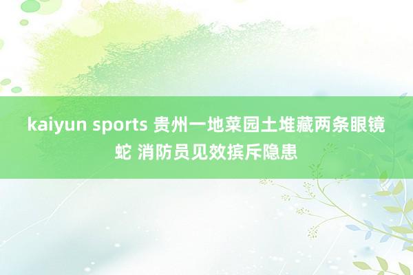 kaiyun sports 贵州一地菜园土堆藏两条眼镜蛇 消防员见效摈斥隐患
