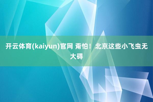 开云体育(kaiyun)官网 甭怕!北京这些小飞虫无大碍