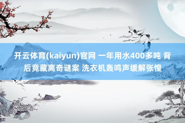 开云体育(kaiyun)官网 一年用水400多吨 背后竟藏离奇谜案 洗衣机轰鸣声缓解张惶