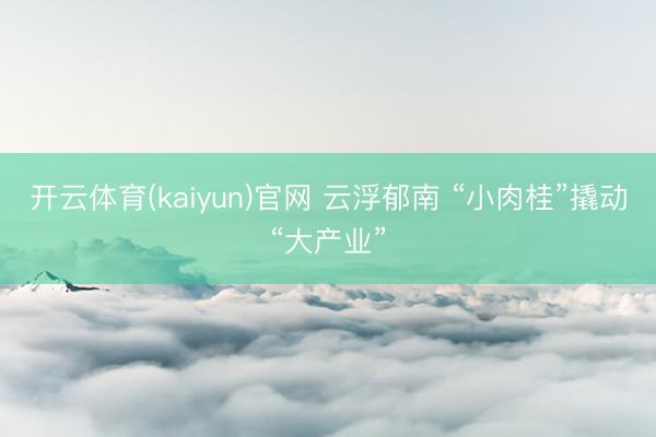 开云体育(kaiyun)官网 云浮郁南 “小肉桂”撬动“大产业”